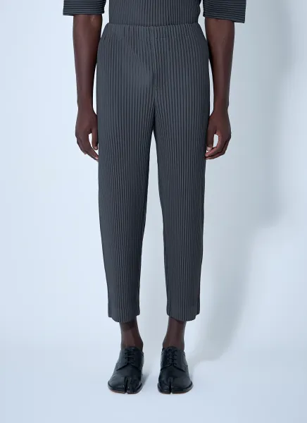 Pleated Pants