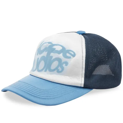 Cape Fisheye Logo Cap