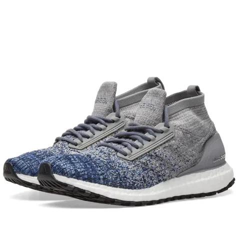 Ultra Boost All Terrain LTD