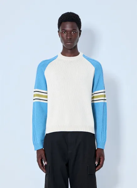 Stripe Raglan Crewneck Sweatshirt
