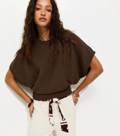 Women's Brown Batwing Sleeve Short Sleeve Jumper