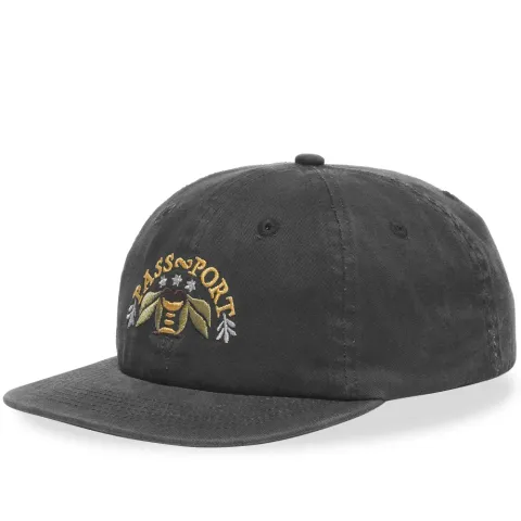 Arched 6 Panel Cap