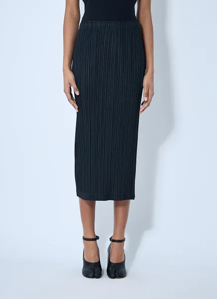 Pleated Skirt