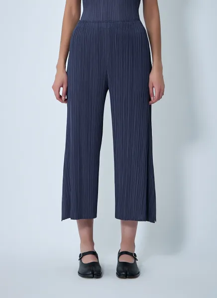 Pleated Pants
