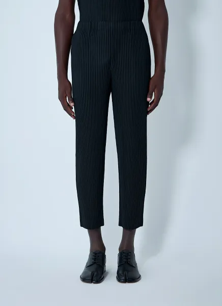 Pleated Pants