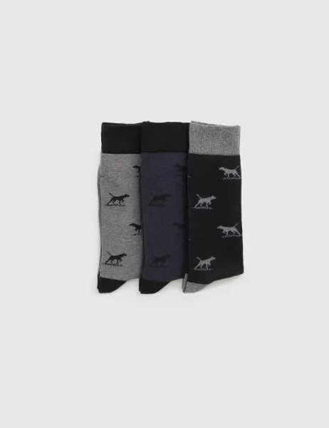 Rodd & Gunn 3 Pack Dogs Cotton Rich Smart Socks Grey Mix