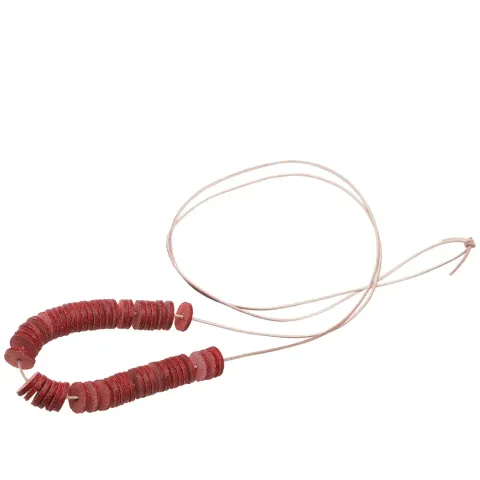 Not Lying Necklace