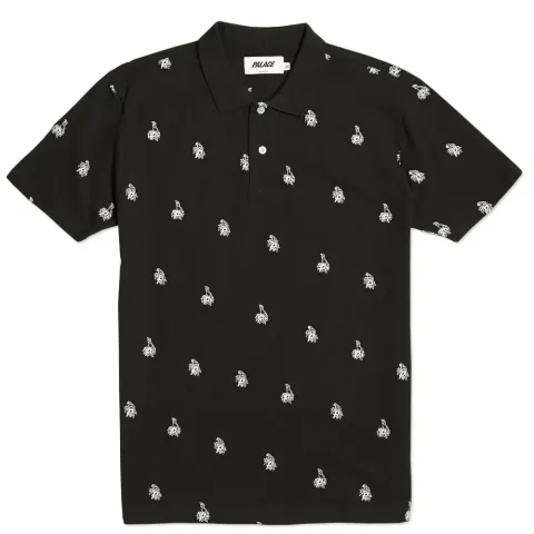 Parrot Polo