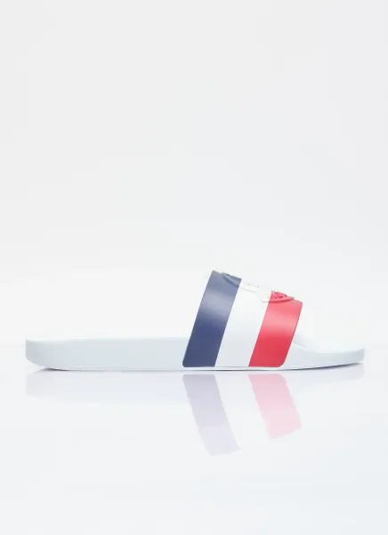 Basile Logo Print Slides