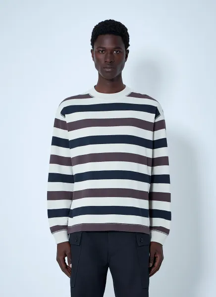 Striped Crewneck Sweatshirt