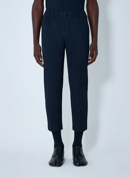 Pleated Pants