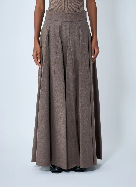 Pleated Flared Skirt