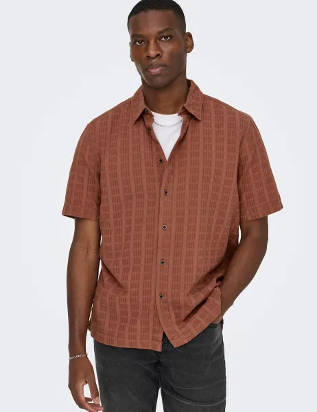 Only & Sons Regular Fit Textured Short Sleeve Shirt Brown
