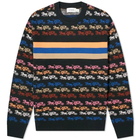 Rainbow Crew Knit