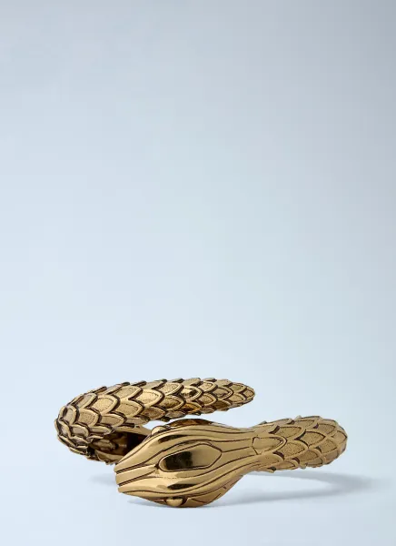 Snake Bracelet