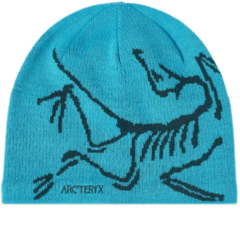 Arc'teryx Bird Head Toque Beanie
