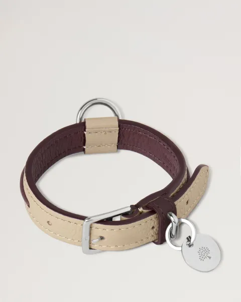 XS Leather Dog Collar