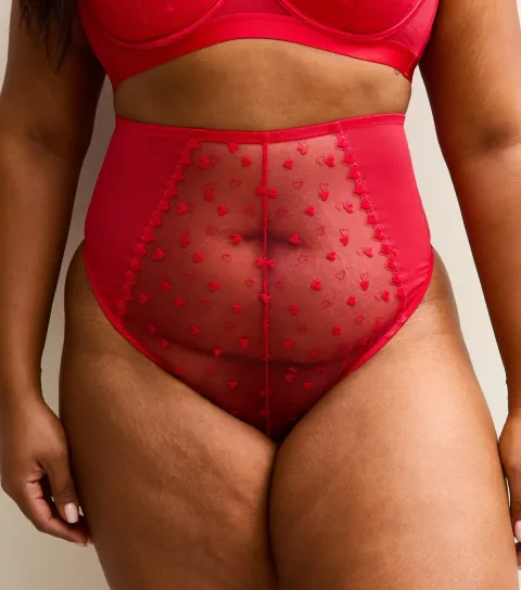 Women's Plus Size Red Heart Embroidered High Waisted Thong Curves