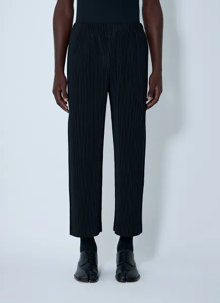 Pleated Pants