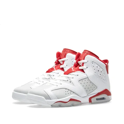 Nike Air Jordan 6 Retro BG 'Alternate'