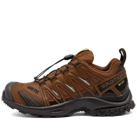 x Salomon GORE-TEX XA Pro 3D