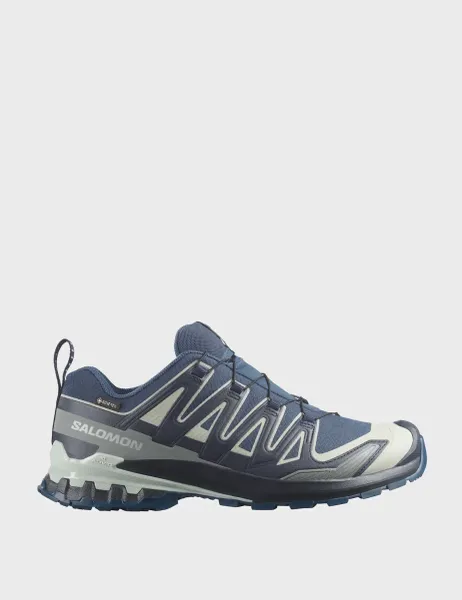 Salomon XA Pro 3D V9 GORE-TEX Trainers