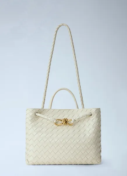 Bottega Veneta Medium Andiamo Handbag