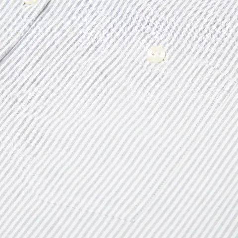 Asle Stripe Oxford Shirt