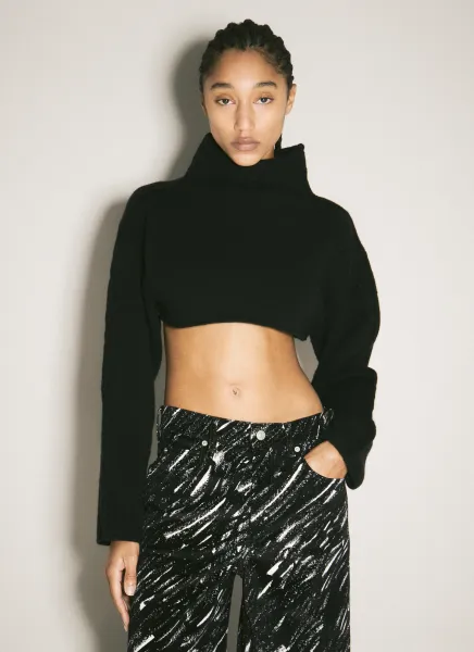 Turtleneck Cropped Sweater
