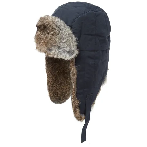 Arctic Cap