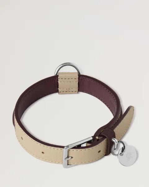 Small Leather Dog Collar