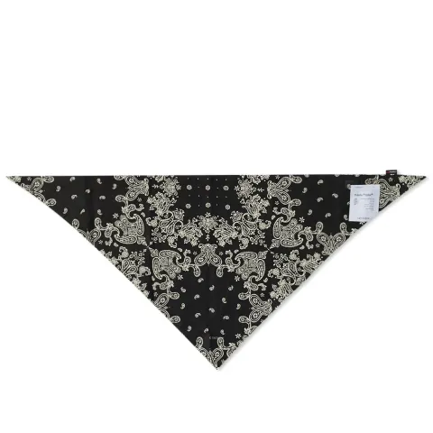 Polartec Alpha Lined Bandana