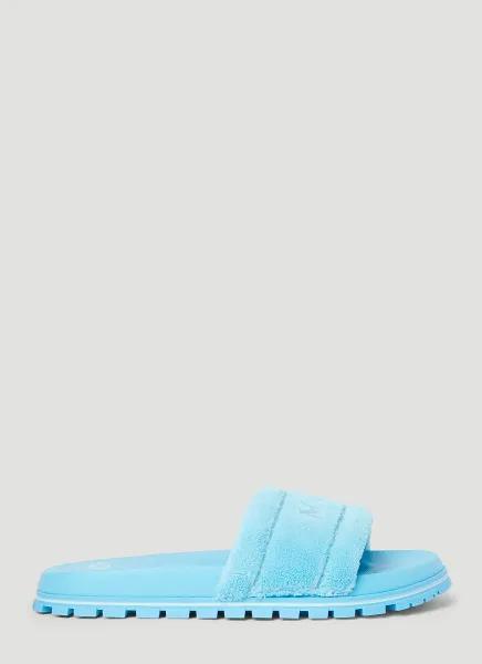 The Terry Slides