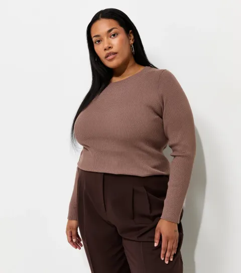 Women's Plus Size Dark Mink Lightweight Ribbed Knit Crew Neck Jumper Curves
