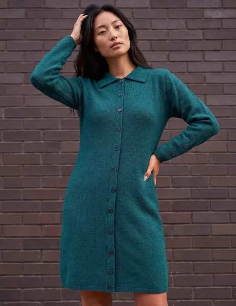 Roman Petite Collared Knitted Shift Dress Green Mix