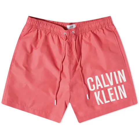 Large Logo Swim Shorts