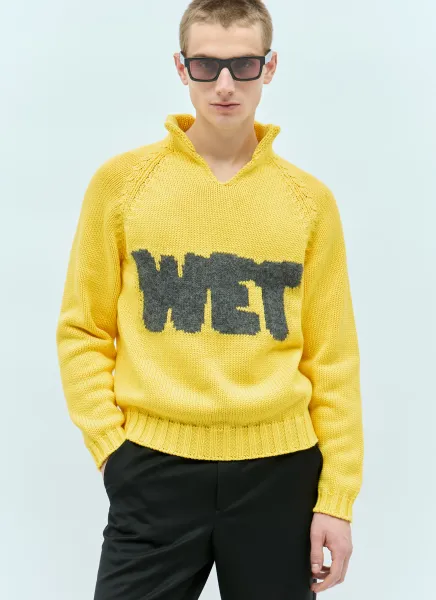 Wet Intarsia Knit Sweater