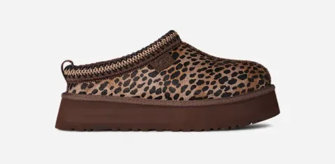 Tazz Caspian in Brown, Size 3, Cow Hair/Polyester/Wool