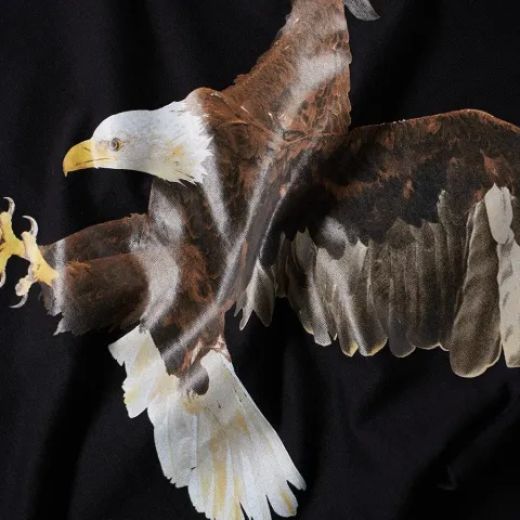 Hawk Tee