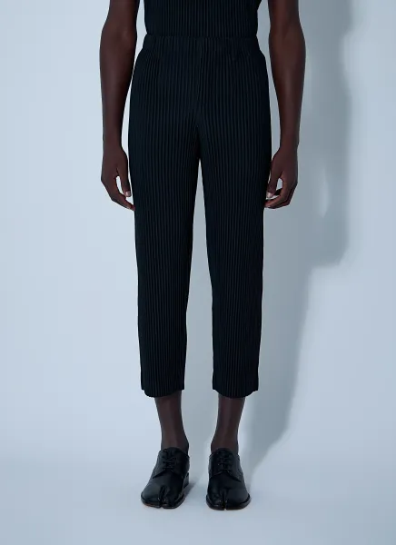 Pleated Pants