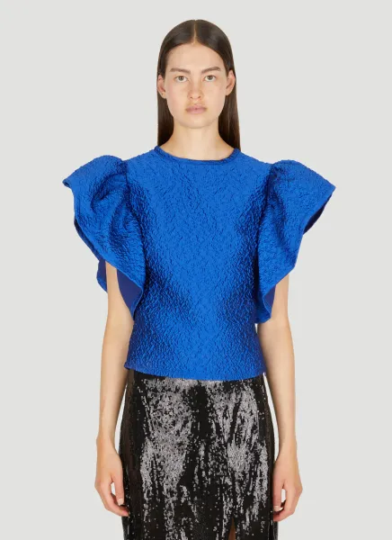 Ruffle Sleeve Top