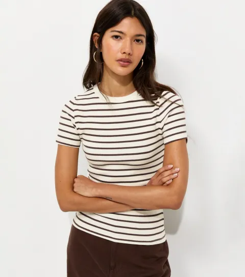 Women's Brown Cotton Rich Striped Crew Neck T-Shirt