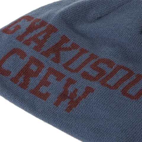 Radar Cap