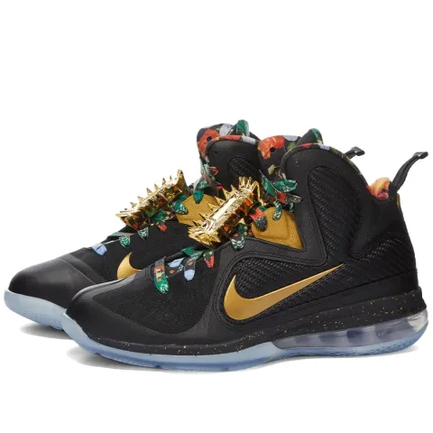 Lebron IX