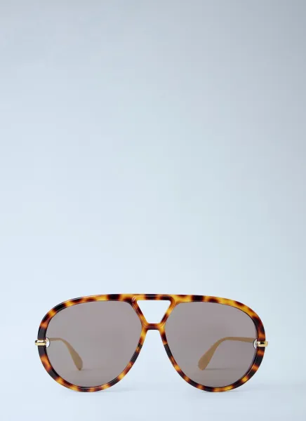 Aviator Sunglasses