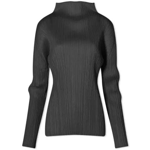 Basics Pleats Roll Neck Long Slee