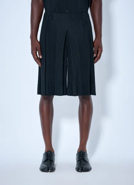 Tailored Pleats 2 Shorts