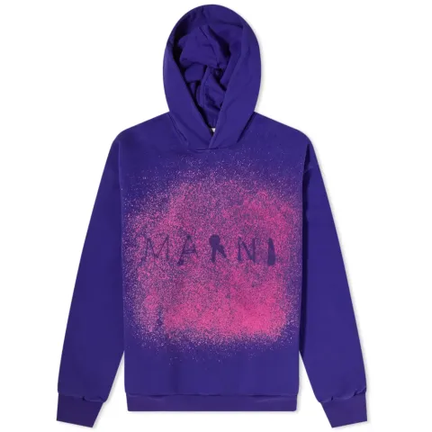 Abrasion Logo Popover Hoodie