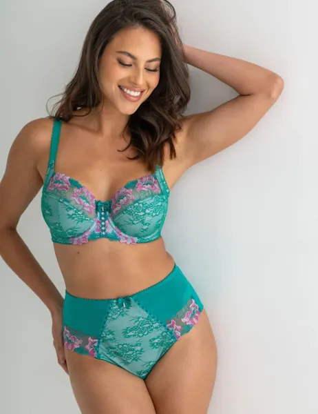 Sofia Lace Embroidered Full Briefs Pink Mix