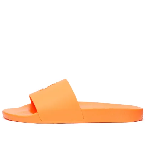 Pony Player Pool Slide